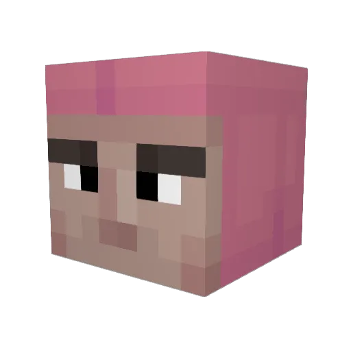 purifi3d1 Minecraft avatar head, 3D render