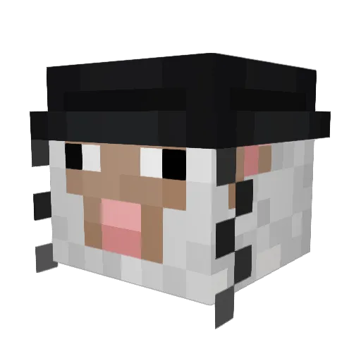 purple___aki Minecraft avatar head, 3D render