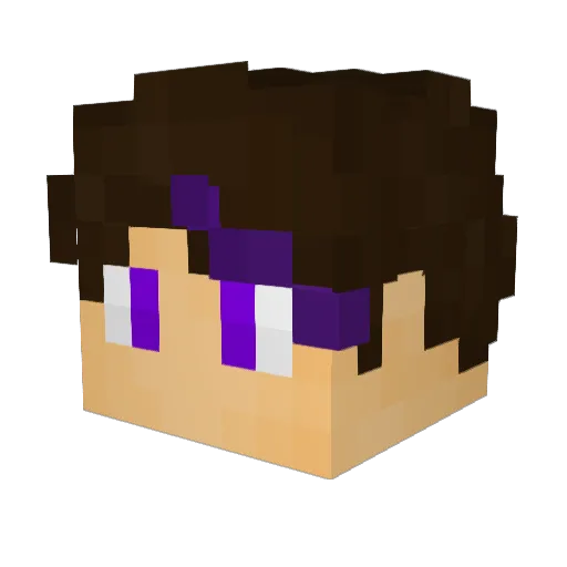 purple_nickname Minecraft avatar head, 3D render