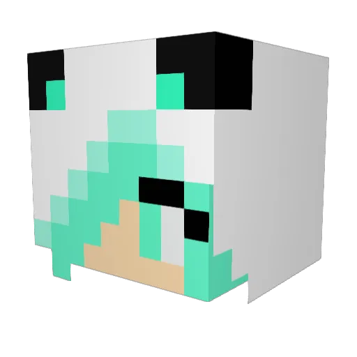 purpledogz1 Minecraft avatar head, 3D render