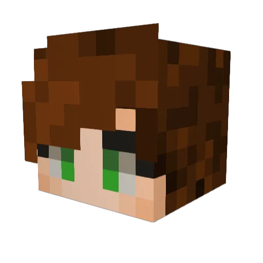 purplekoala123 Minecraft avatar head, 3D render