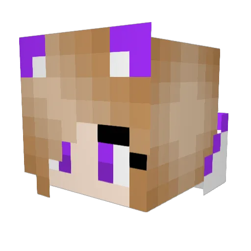 purpleminion01 Minecraft avatar head, 3D render