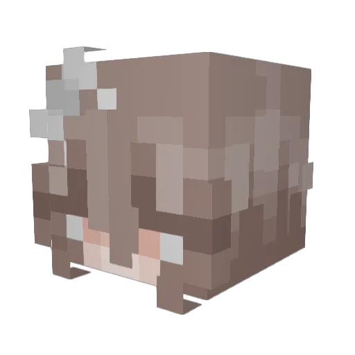 purpleskyyyy Minecraft avatar head, 3D render