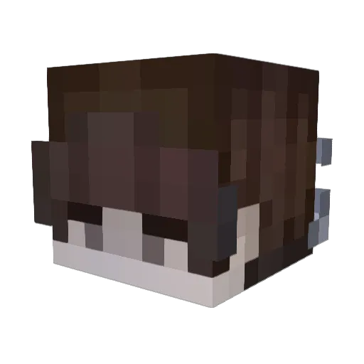 purplesocean Minecraft avatar head, 3D render