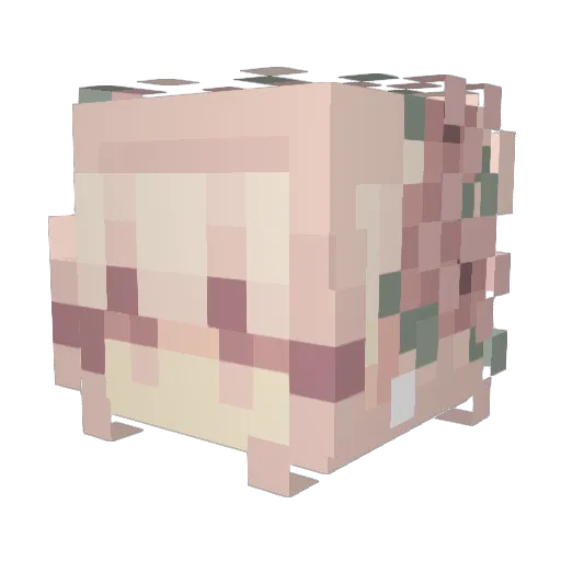 purpletalksalot Minecraft avatar head, 3D render