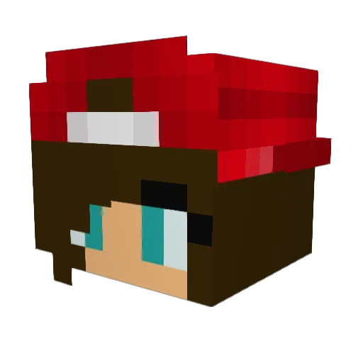 purplezebra144 Minecraft avatar head, 3D render
