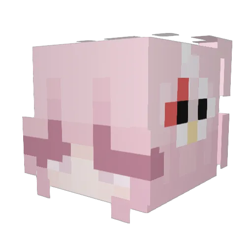 purritka Minecraft avatar head, 3D render