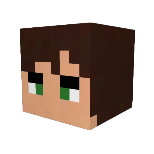 purrorcode Minecraft avatar head, 3D render
