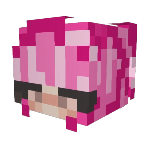 purty_dork04 Minecraft avatar head, 3D render