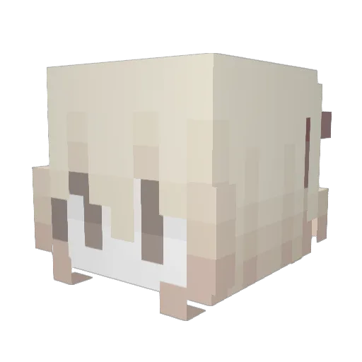 pusheen17250 Minecraft avatar head, 3D render