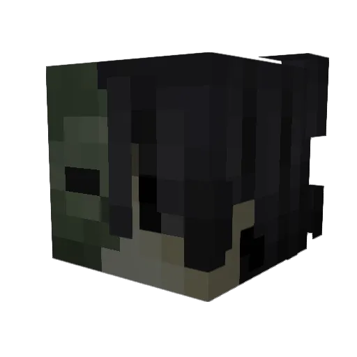 pushmyfeelings Minecraft avatar head, 3D render