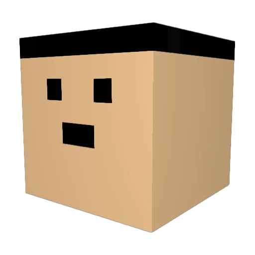 pussinator Minecraft avatar head, 3D render