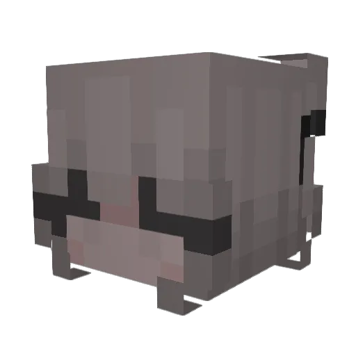pussipounderOG2 Minecraft avatar head, 3D render
