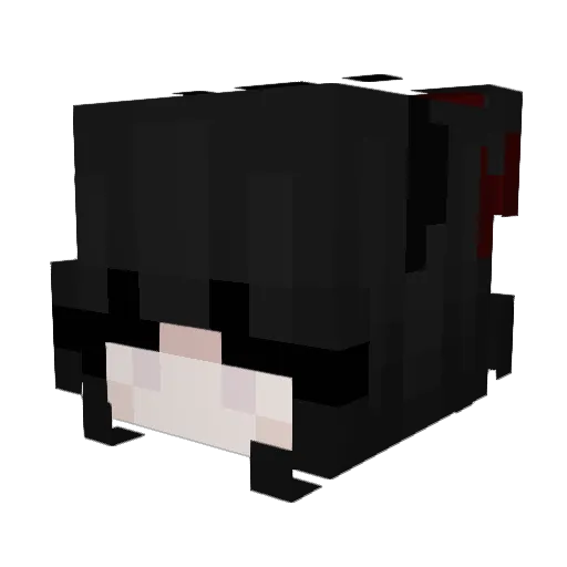 pusspop420 Minecraft avatar head, 3D render