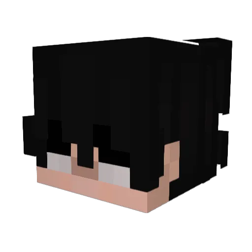 puszkowy22 Minecraft avatar head, 3D render
