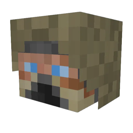puszor100 Minecraft avatar head, 3D render