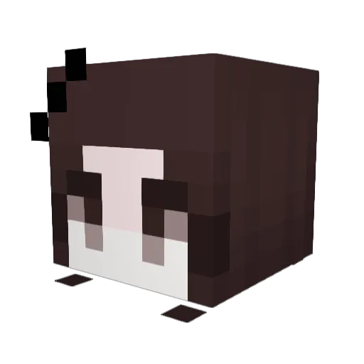 puums Minecraft avatar head, 3D render
