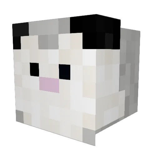 puzzyfairy Minecraft avatar head, 3D render
