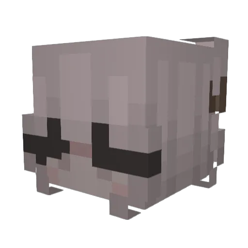 pvagluee Minecraft avatar head, 3D render