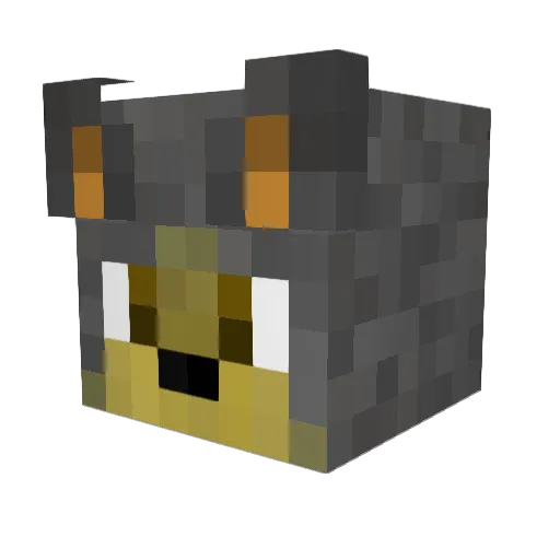 pvcraft99 Minecraft avatar head, 3D render