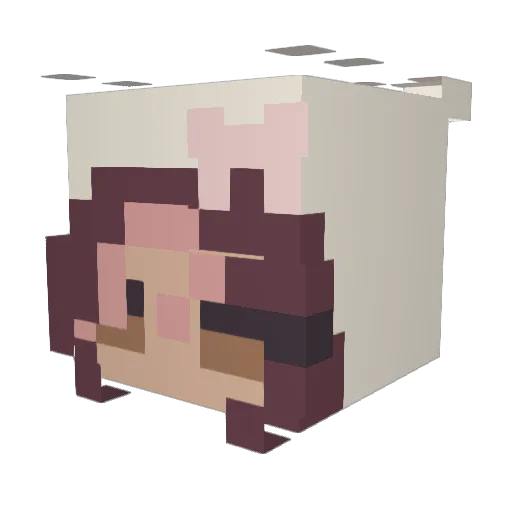 pvddinq Minecraft avatar head, 3D render