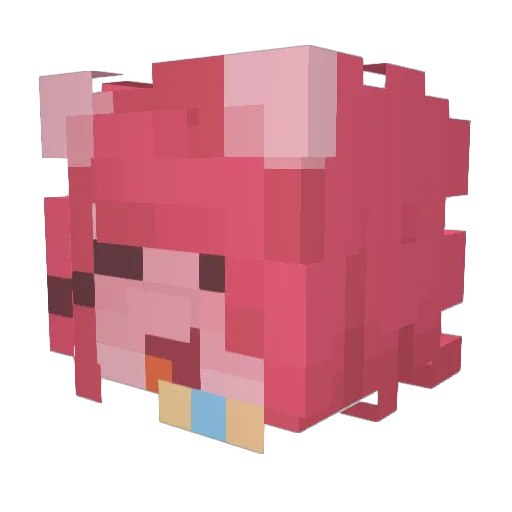 pvnkprinc3ss Minecraft avatar head, 3D render