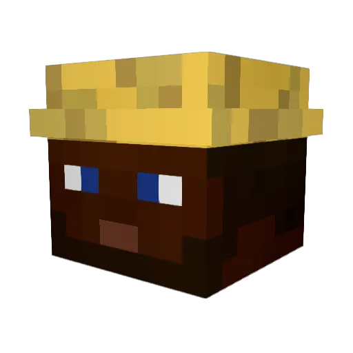 pvp_williboy Minecraft avatar head, 3D render