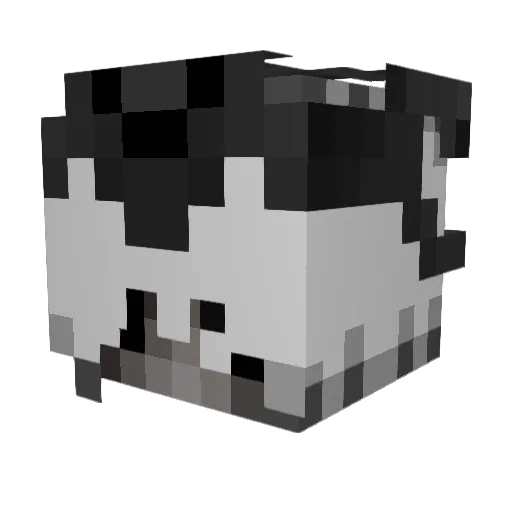 pvpadybesteuw Minecraft avatar head, 3D render