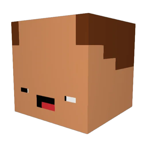 pvpkilller64 Minecraft avatar head, 3D render