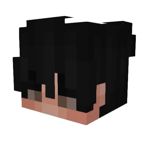 pvplo Minecraft avatar head, 3D render