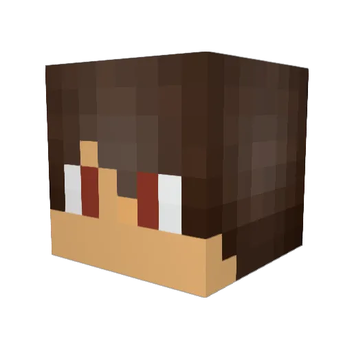 pvpmaster_123 Minecraft avatar head, 3D render