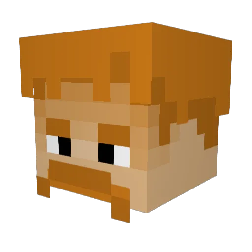 pvppro_x Minecraft avatar head, 3D render