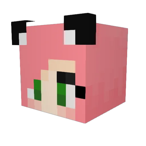 pvppwnage Minecraft avatar head, 3D render