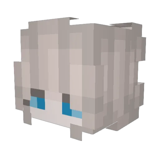 pvrokinesis Minecraft avatar head, 3D render