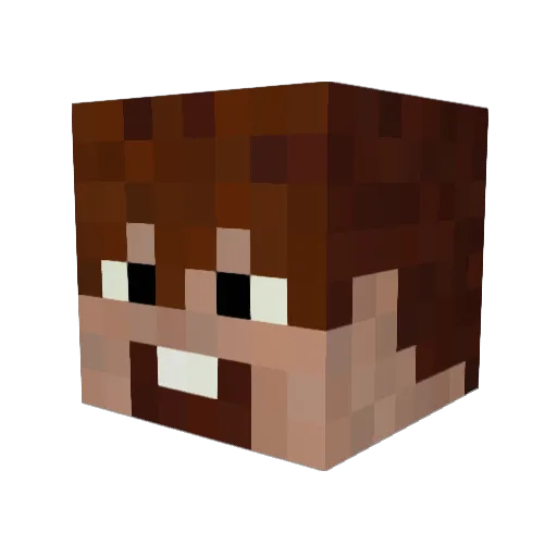 pvtpokeymon Minecraft avatar head, 3D render
