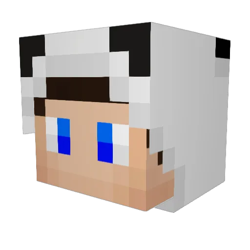 pvyn Minecraft avatar head, 3D render