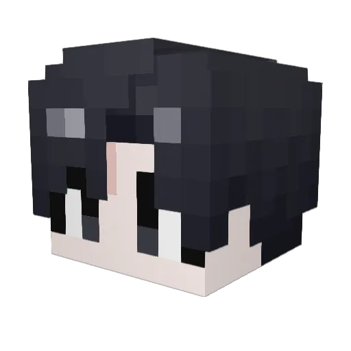 pwan_ni Minecraft avatar head, 3D render