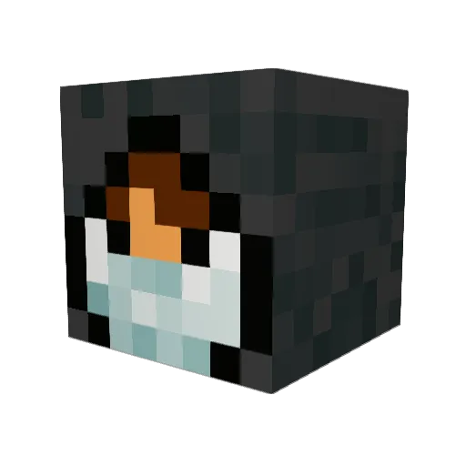 pwd12 Minecraft avatar head, 3D render