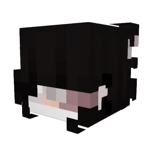 pwdyn Minecraft avatar head, 3D render