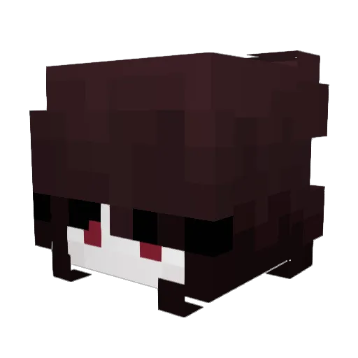 pwmpen Minecraft avatar head, 3D render