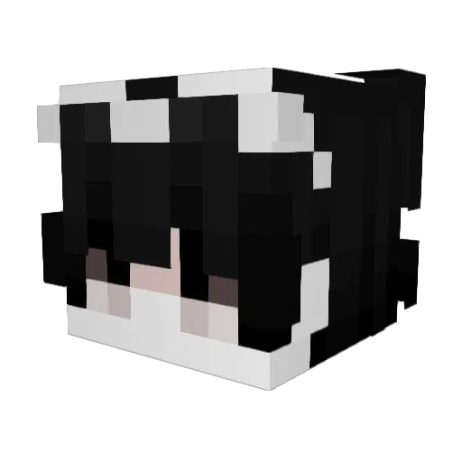 pwnch Minecraft avatar head, 3D render