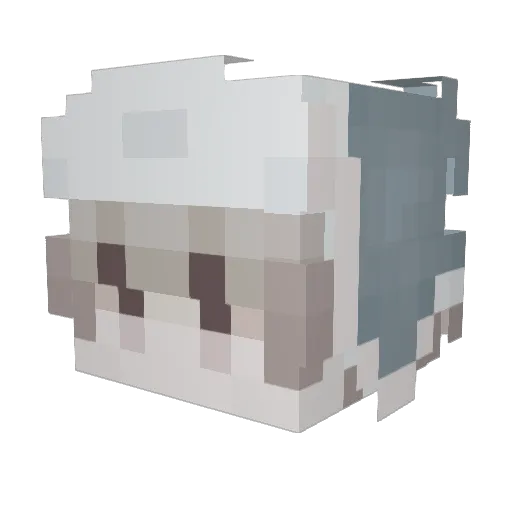 pwnds Minecraft avatar head, 3D render