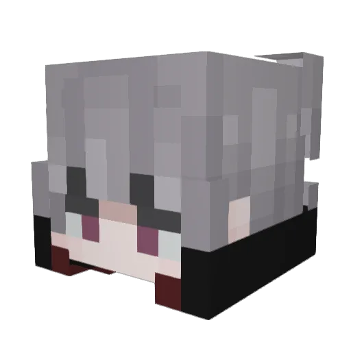 pwndu Minecraft avatar head, 3D render