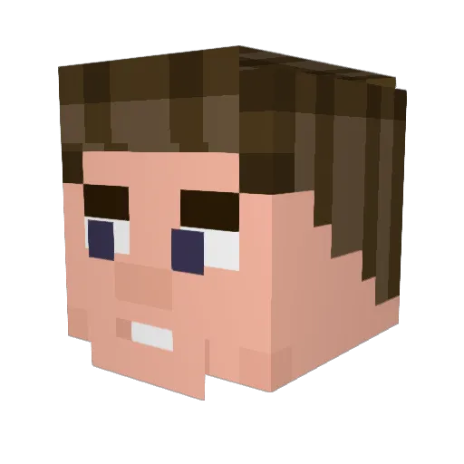 pwned4good Minecraft avatar head, 3D render