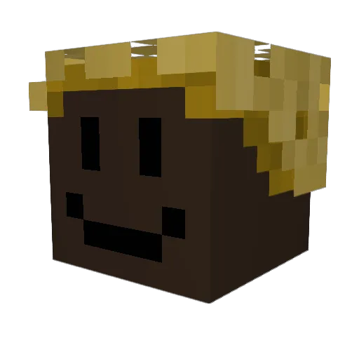 pwner0403 Minecraft avatar head, 3D render