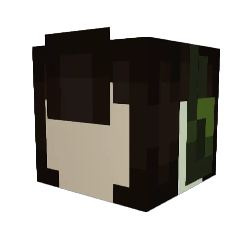 pwnky Minecraft avatar head, 3D render