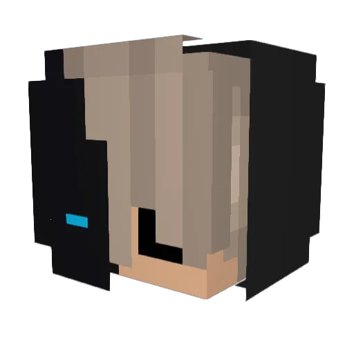 pwnl_ Minecraft avatar head, 3D render