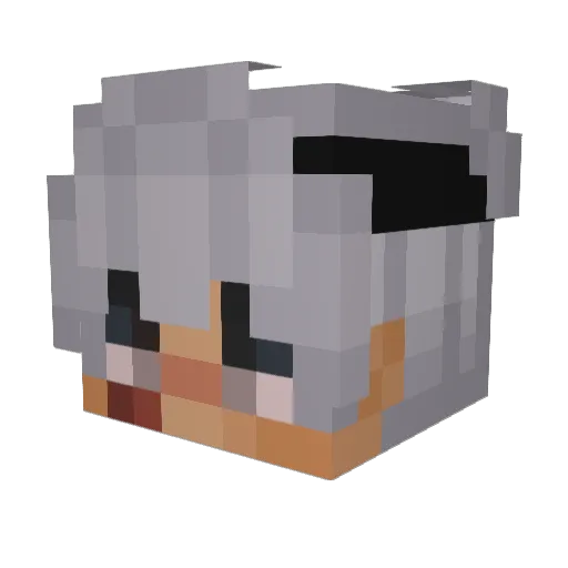 pwnsore Minecraft avatar head, 3D render
