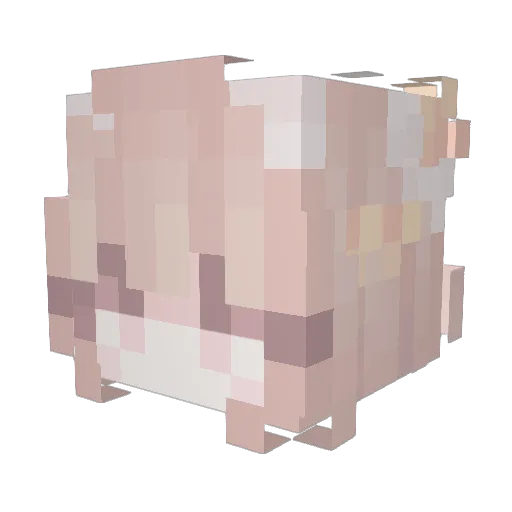 pwpqwq Minecraft avatar head, 3D render