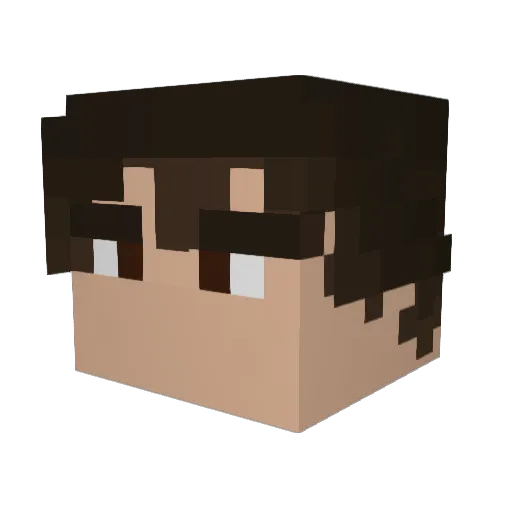 pws_99 Minecraft avatar head, 3D render